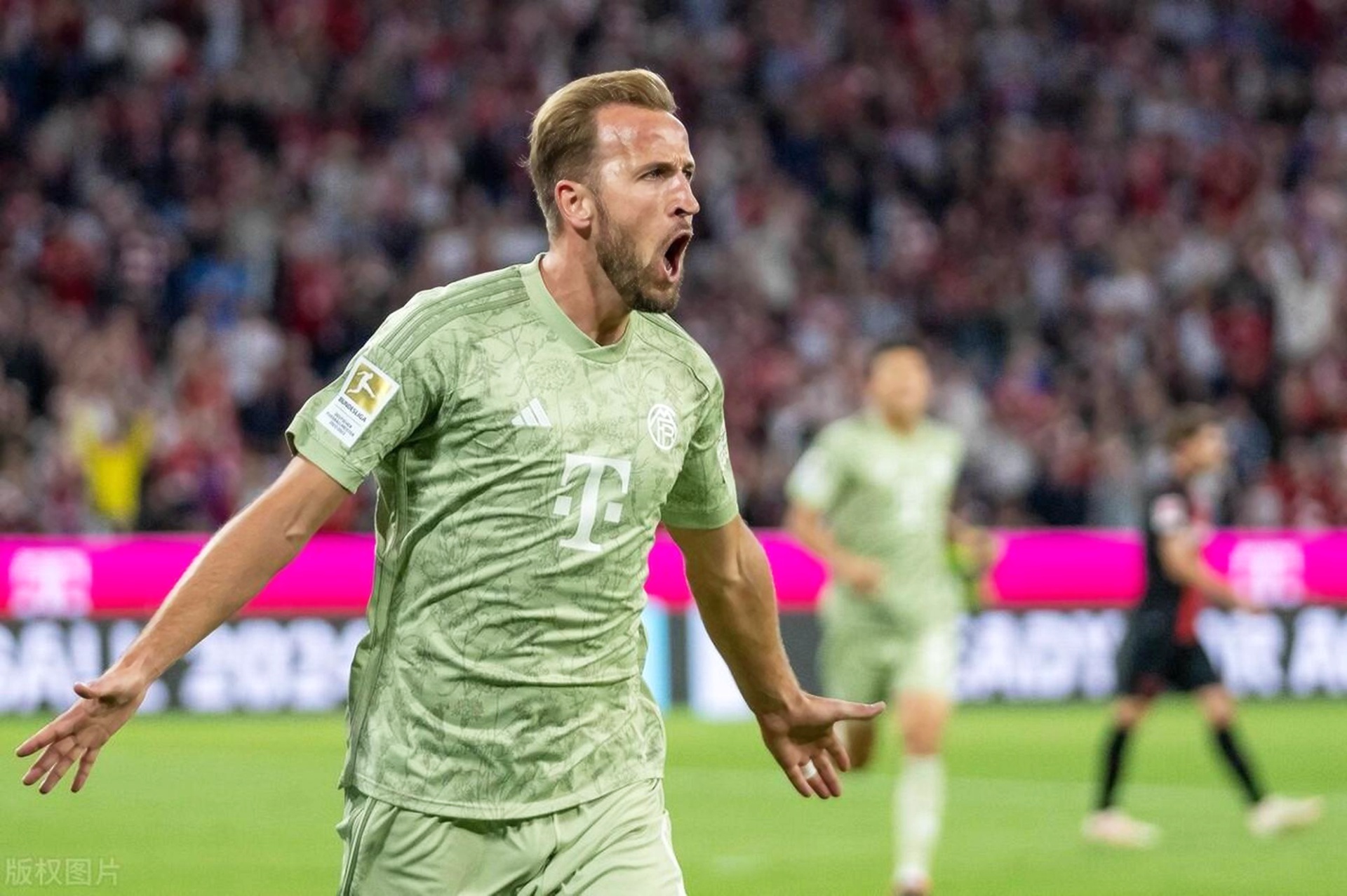 开云-关于凯恩赛事官方发布连败新规，塞尔维亚队争议不断！的信息